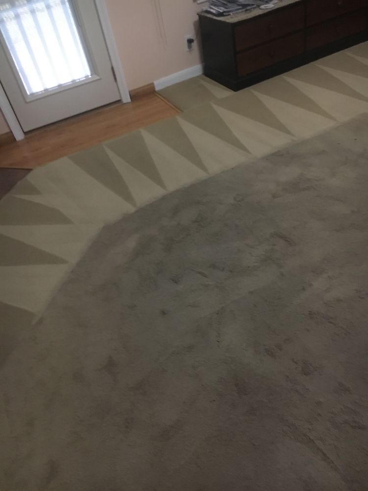 Carpet Cleaning TX Pure Heaven Carpet Cleaning